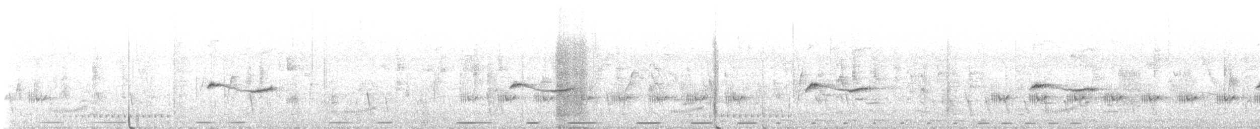 White-browed Scrub-Robin (White-winged) - ML640401940