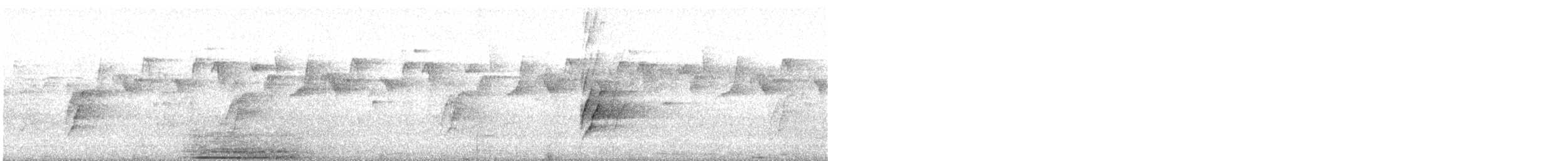 Plum-headed Parakeet - ML640401962