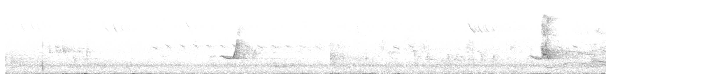 Golden Whistler (Eastern) - ML640402839