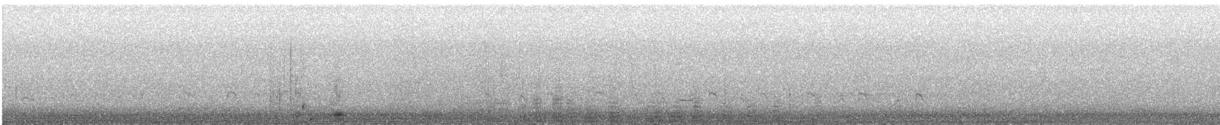 Cormorano - ML640403411