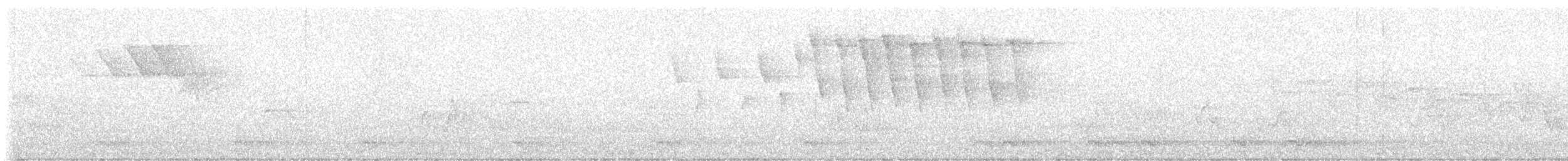 Tennessee Warbler - ML640403560