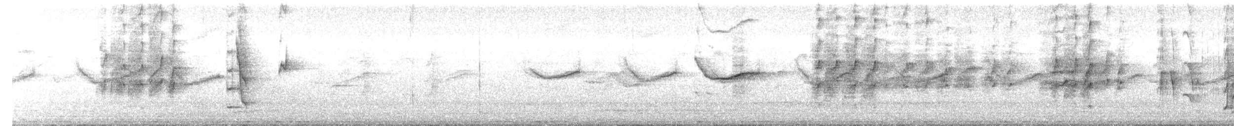 Welcome Swallow - ML640404649