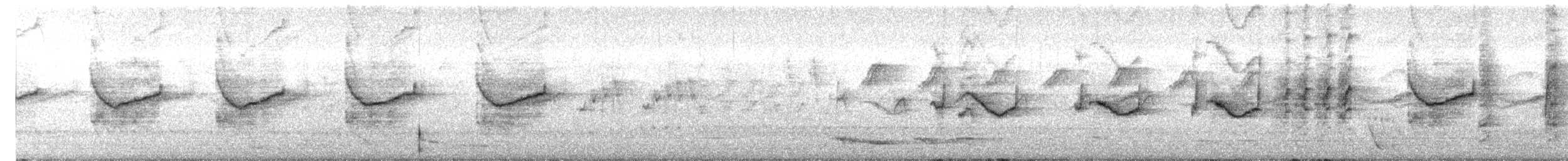 Welcome Swallow - ML640404650