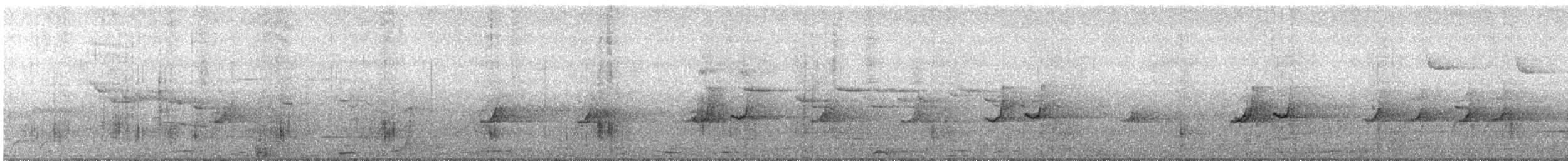 Australian Logrunner - ML640404984