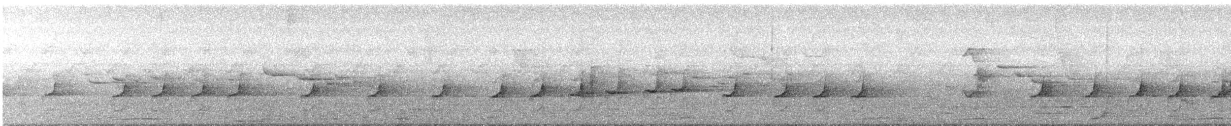 Australian Logrunner - ML640404985