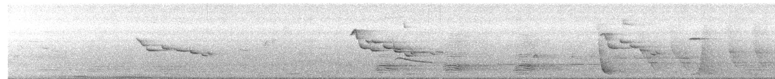 Australian Logrunner - ML640404986
