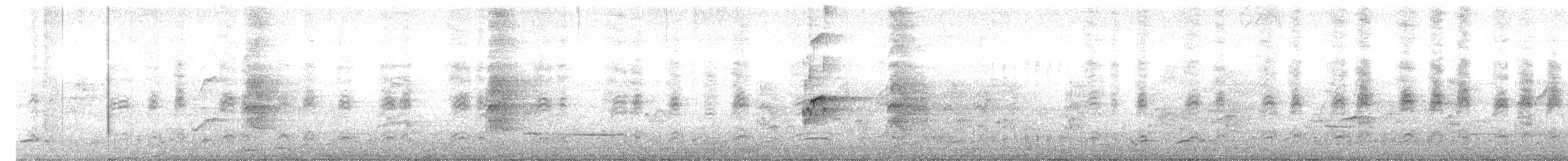 Maned Duck - ML640405076
