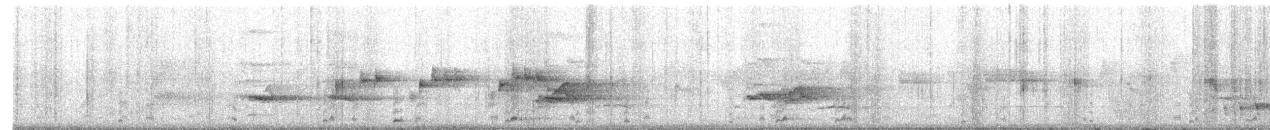 Australian Logrunner - ML640405196
