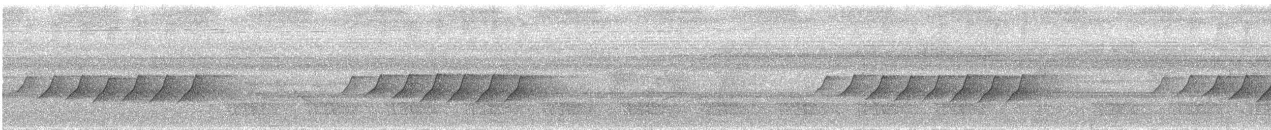 Black-naped Monarch - ML640406906