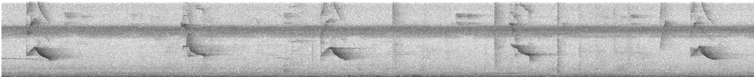 ハシグロムジツグミ - ML640407837