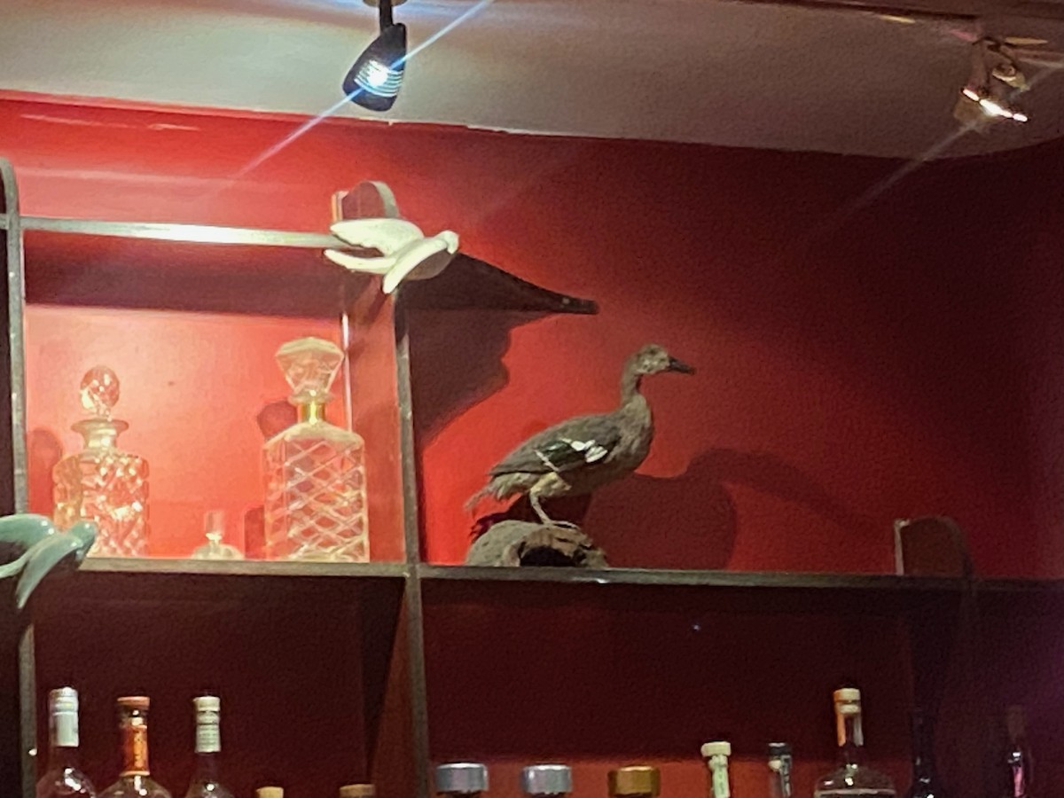 Gray Teal - ML640408740