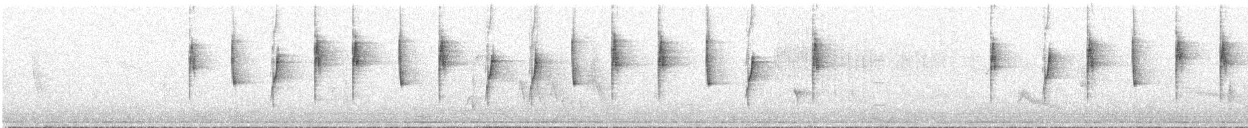 White-vented Violetear - ML640410563