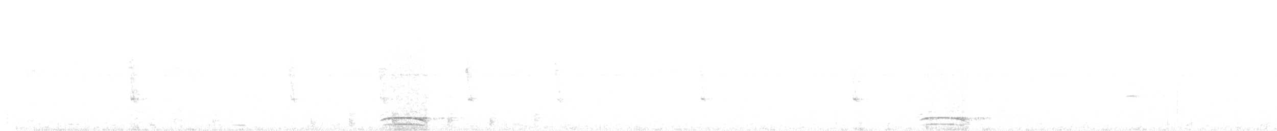 Collared Forest-Falcon - ML640411163