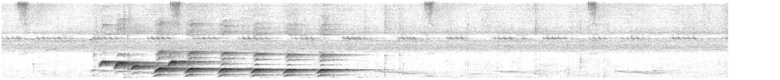 Kleinparadiesvogel - ML640411639