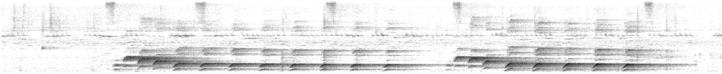 Kleinparadiesvogel - ML640411640