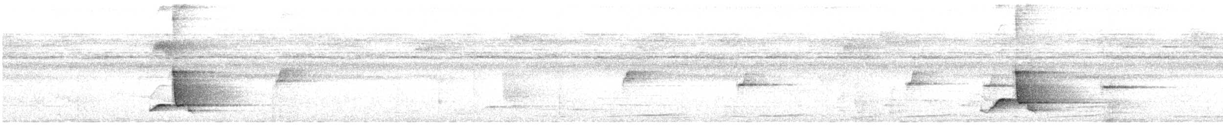 Petroica Flanquinegra - ML640411741