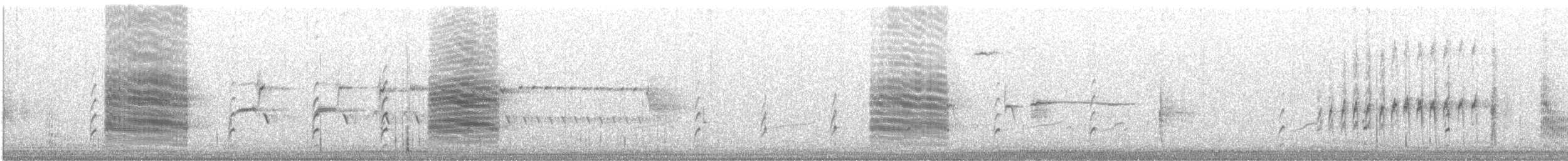 Forster's Tern - ML640413258