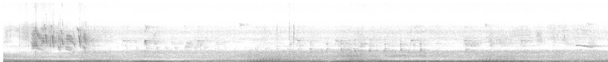 Couch's Kingbird - ML640413355