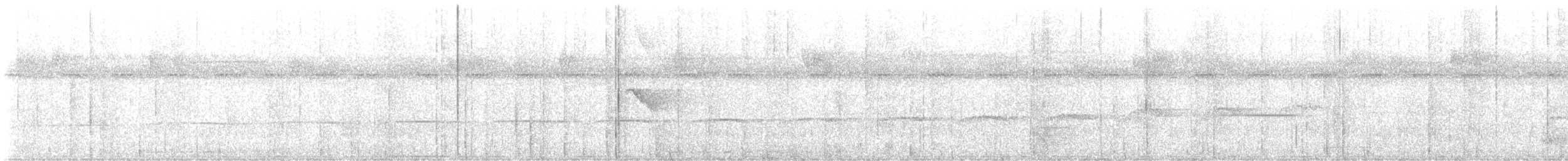 rødstripemanakin - ML640413787