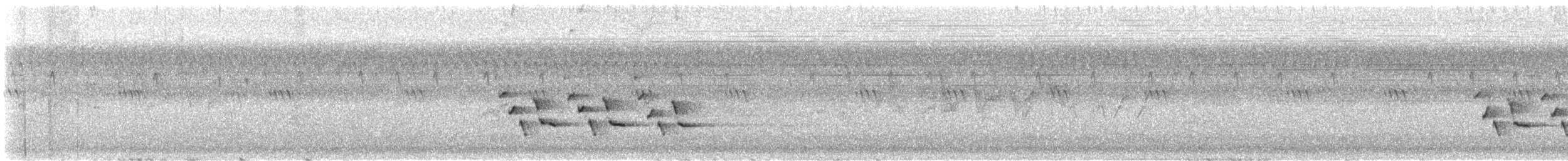 チャバラマユミソサザイ - ML640414534