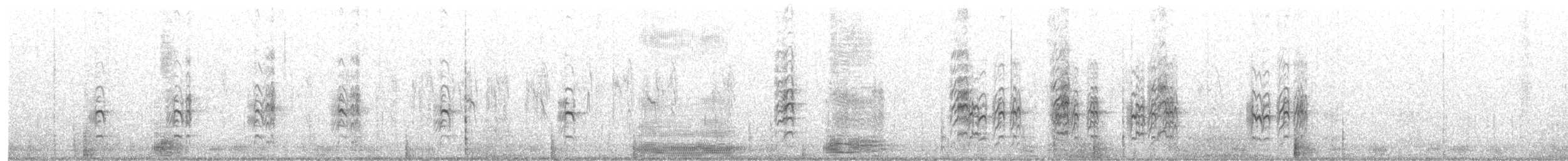 dvergterne - ML640415071