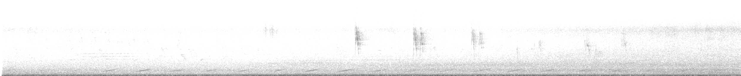 White Wagtail - ML640417338
