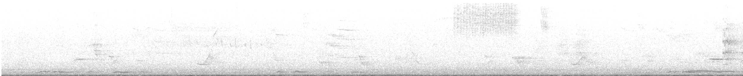hvitvingedue - ML640418310