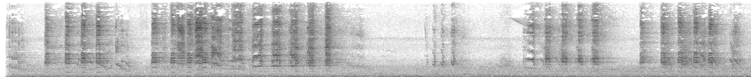 コボウシインコ - ML640419584