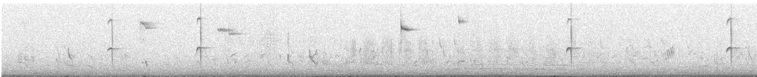 Colibri géant - ML640422694