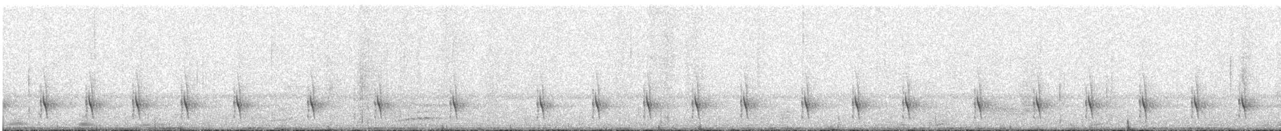 Black-bellied Antwren - ML640428696