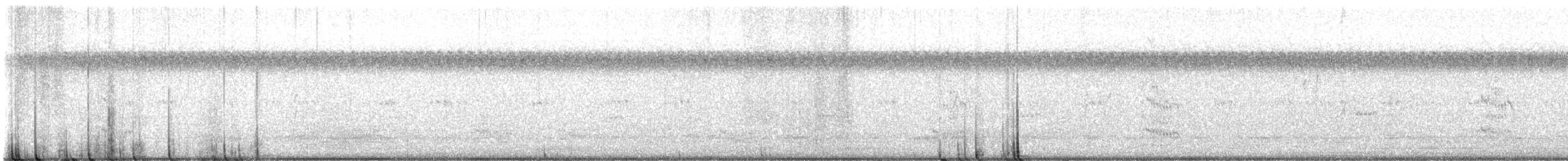 Royal Tern - ML640429699