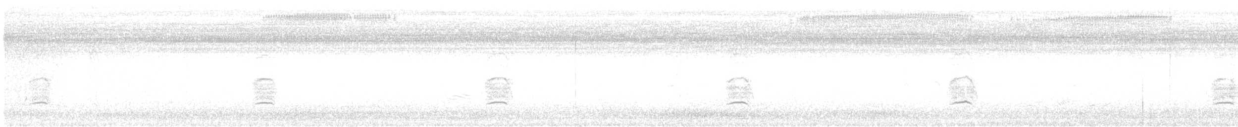 American Coot - ML640430862