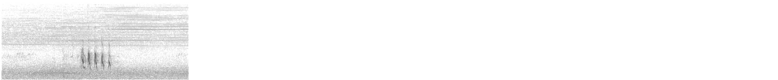 Bécassin roux - ML640431054