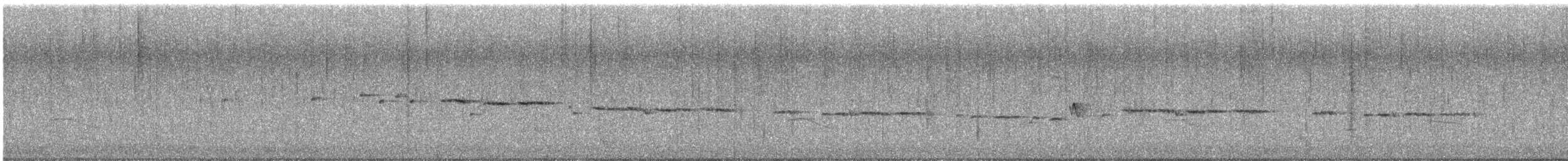 Gray Gerygone - ML640432347