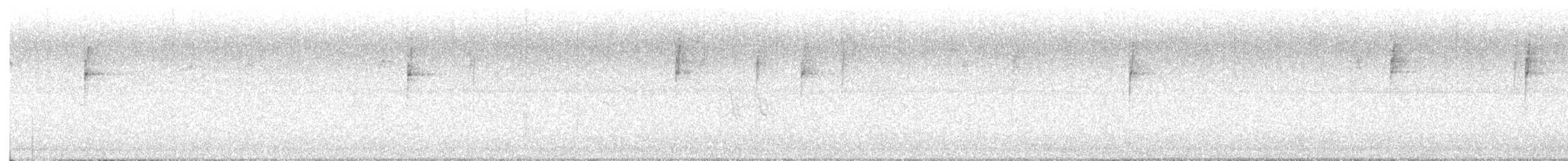 lesňáček sp. (Parulidae sp.) - ML640433613