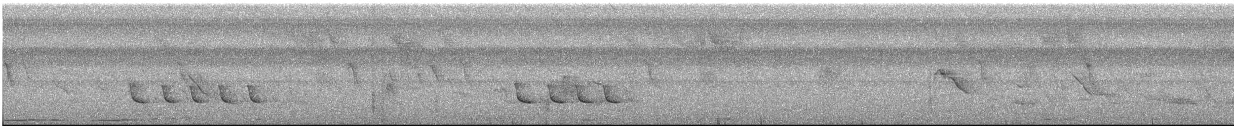 White-winged Becard - ML640434781