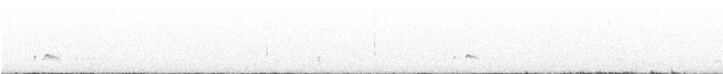 Ash-throated Flycatcher - ML640434861