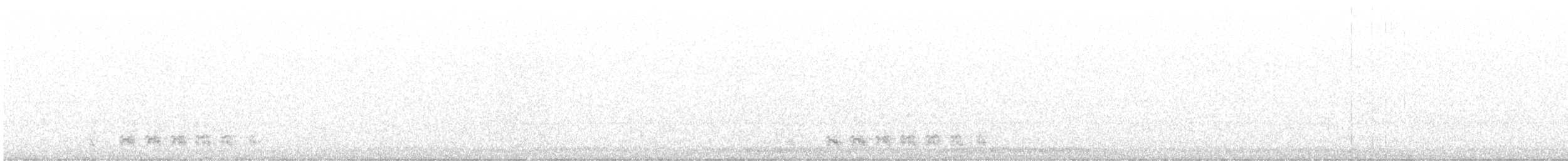 Chevêchette des saguaros - ML640435205