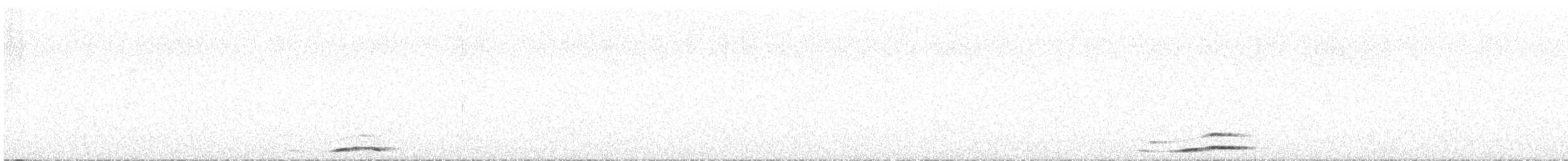 Boreal Owl (Richardson's) - ML640437334