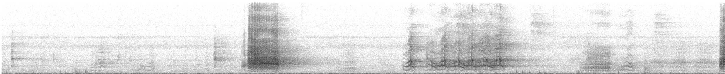 blåpanneamazon - ML640441248