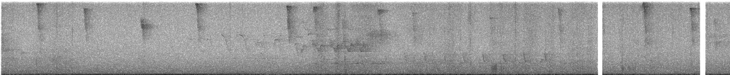 ミズイロアメリカムシクイ - ML640444287