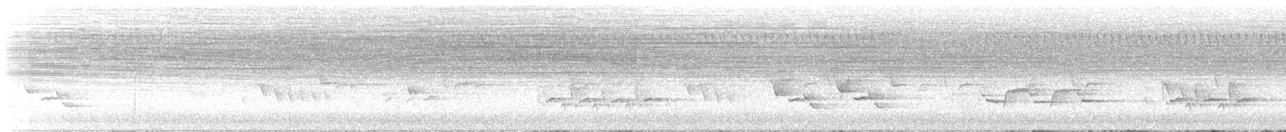 Carolina Wren - ML640444450