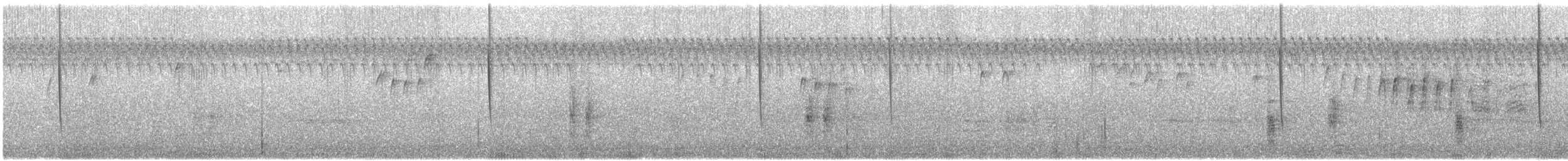 Calliope Hummingbird - ML640445536
