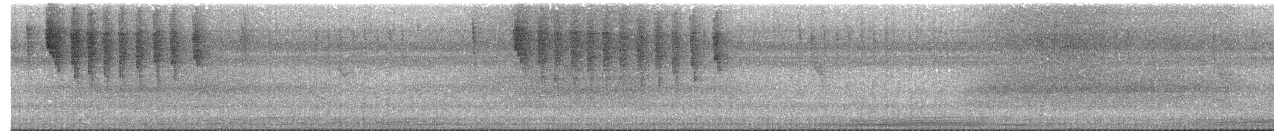 White-shouldered Tanager - ML640446886