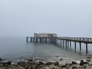Pt. Reyes--Fish Docks (DO NOT INCLUDE Chimney Rock area), Marin ...