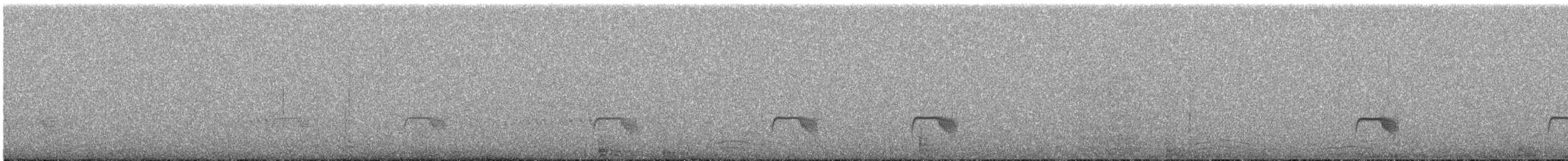 Tschudi's Nightjar - ML640448357
