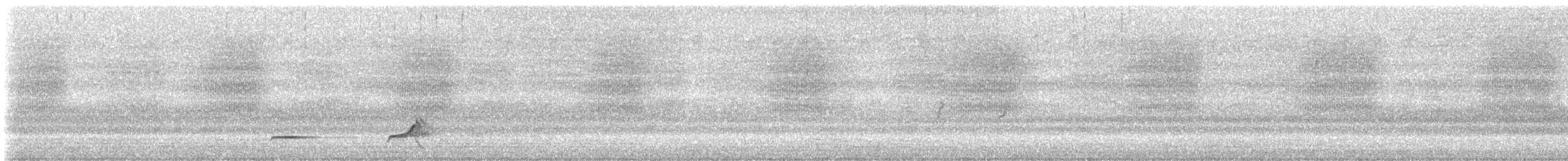 Northern Bobwhite - ML640448422