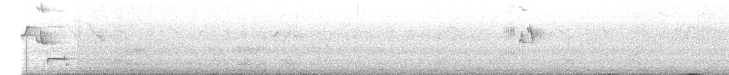 Polynesian Starling - ML640450101