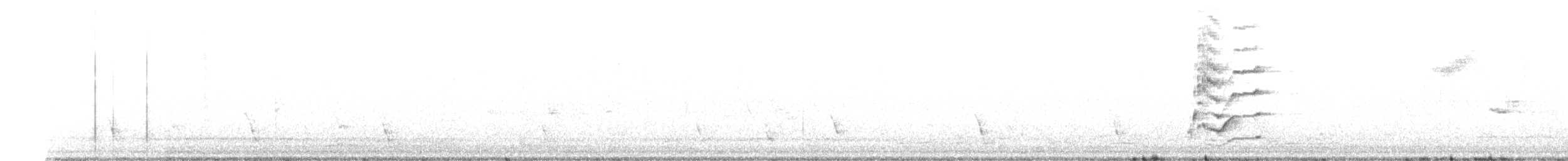 Polynesian Starling - ML640454272