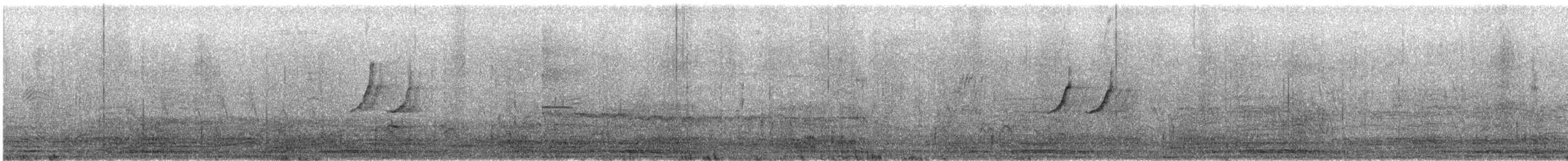 African Pied Wagtail - ML640454301